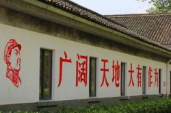 刘强东做农村电商:是生意,还是情怀?